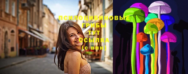 шишки Пересвет