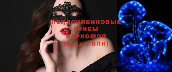 мяу мяу мука Арсеньев