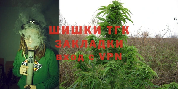 индика Армянск