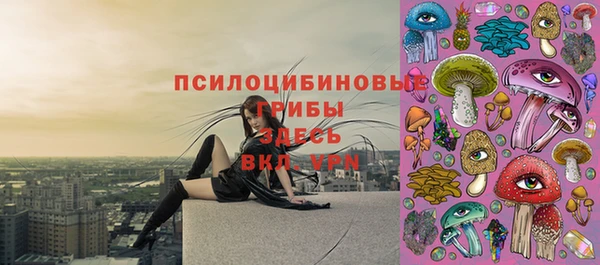 индика Армянск