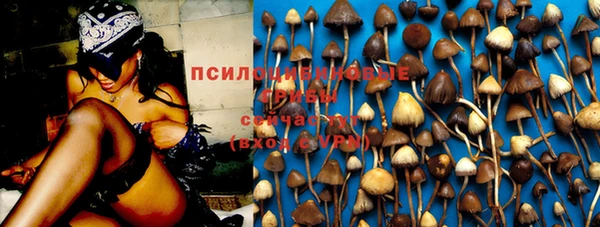 мяу мяу мука Арсеньев