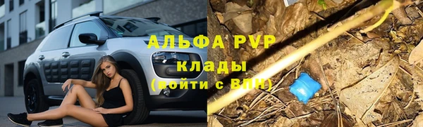 мяу мяу мука Арсеньев