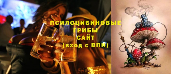 мяу мяу мука Арсеньев
