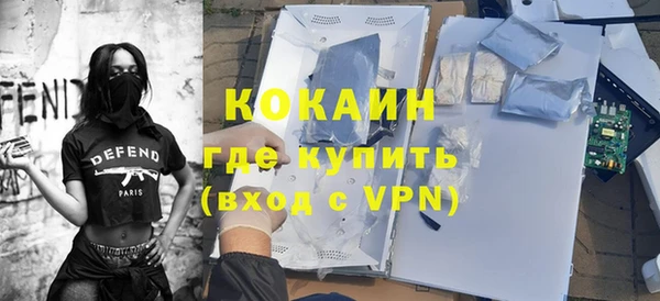 шишки Пересвет